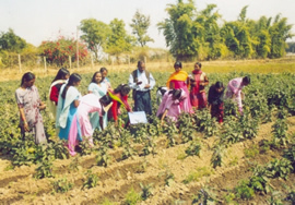 IHO teaching village women about agriculture